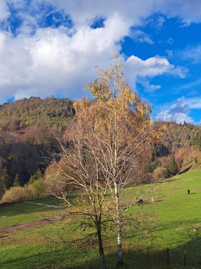 Greenriver Apartment Spodnje Gorje 外观 照片