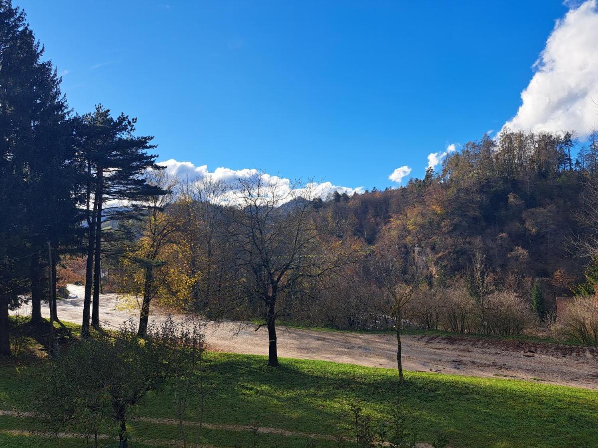 Greenriver Apartment Spodnje Gorje 外观 照片
