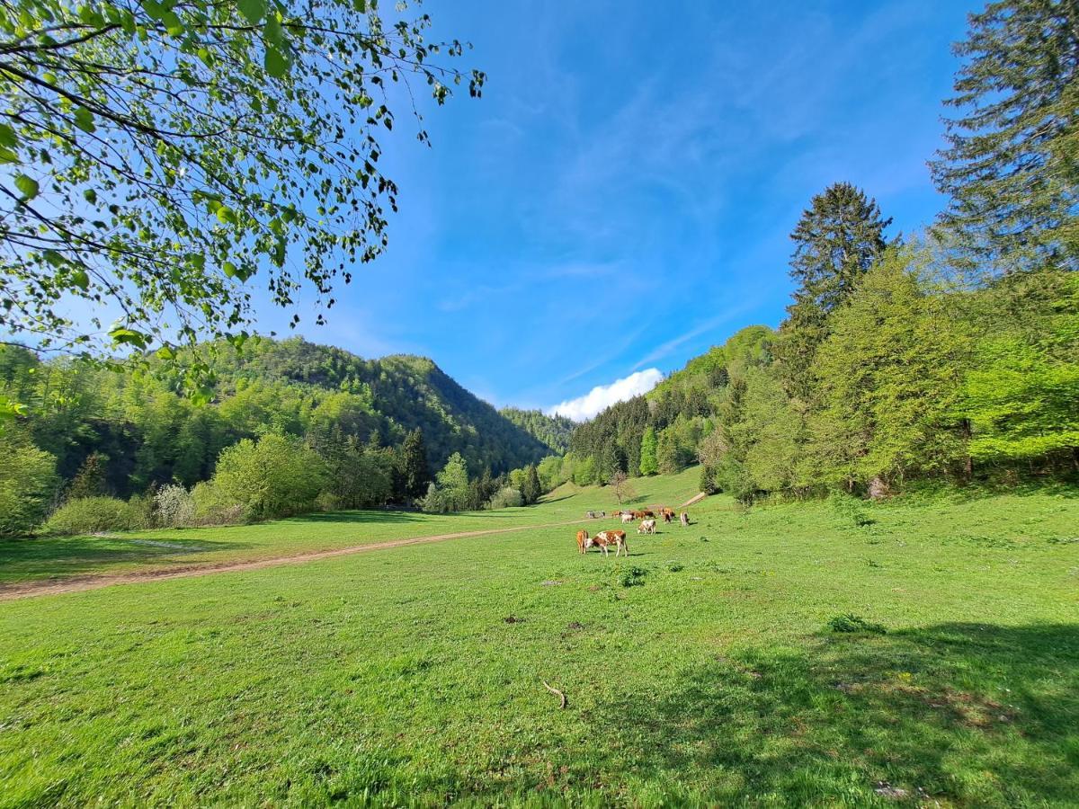 Greenriver Apartment Spodnje Gorje 外观 照片