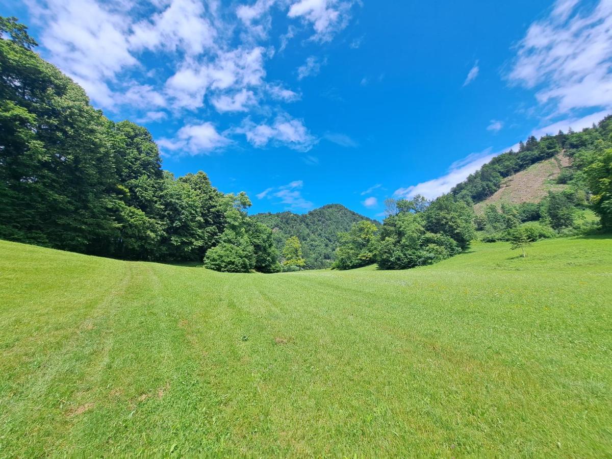 Greenriver Apartment Spodnje Gorje 外观 照片