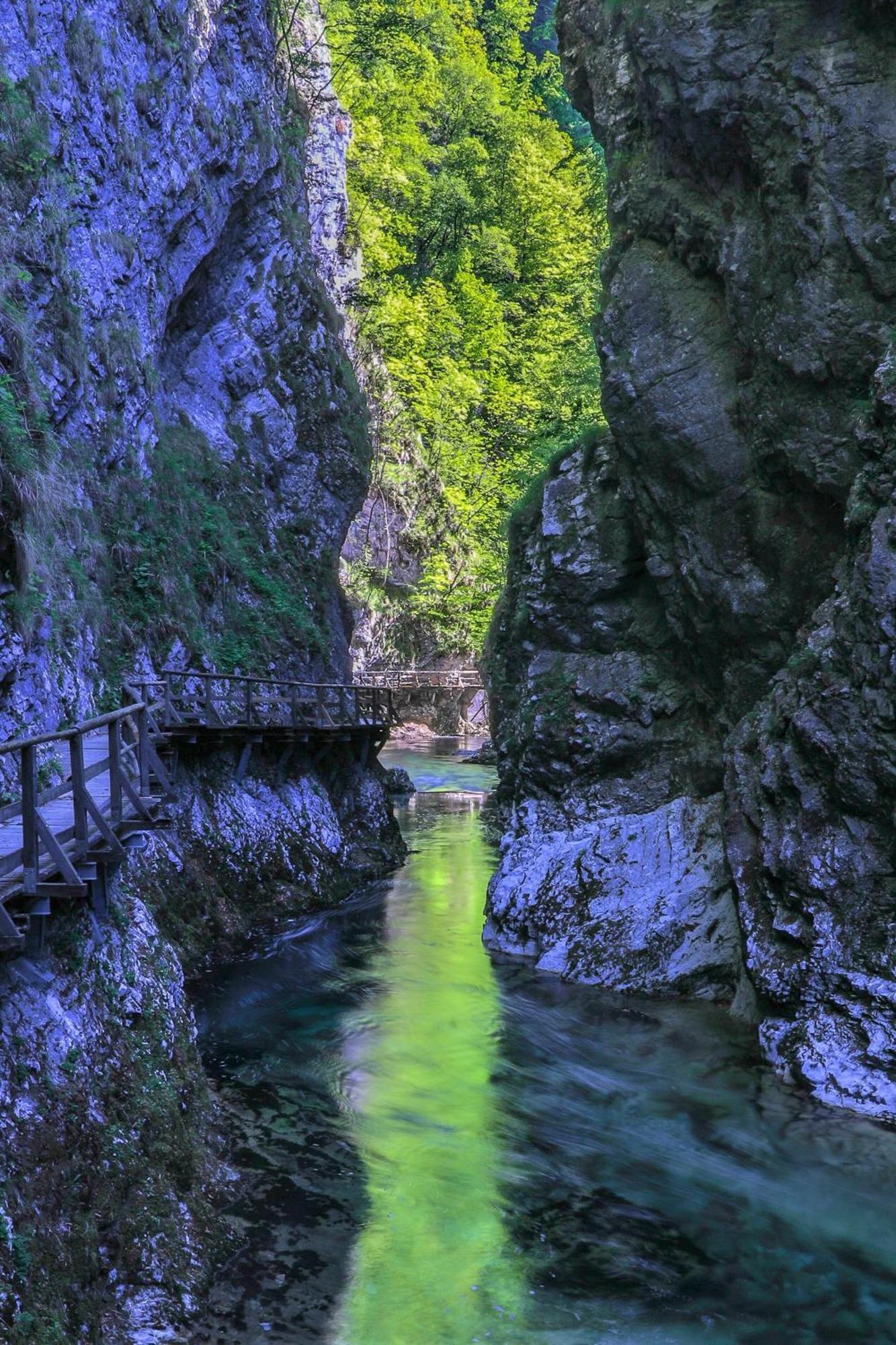 Greenriver Apartment Spodnje Gorje 外观 照片